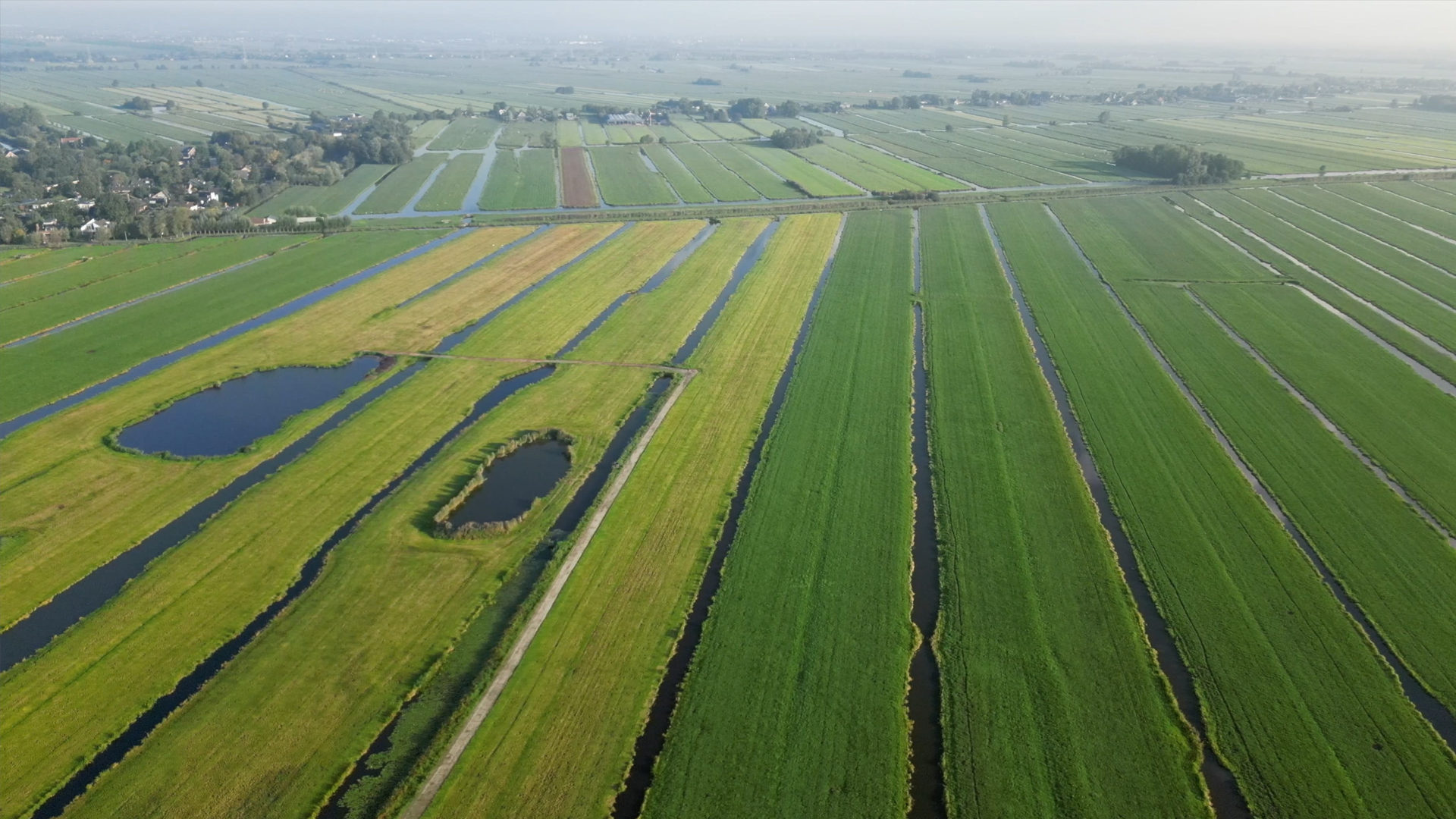 ontdek in deze quickshot de belangrijkste veranderingen en de evolutie binnen het lec-landschap. blijf op de hoogte van de nieuwste ontwikkelingen en trends.